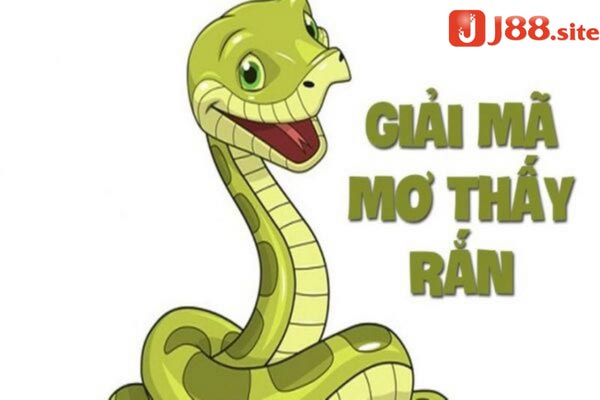 Nằm mơ thấy bắt rắn nên đánh lô gì và điềm báo như nào? Nằm mơ thấy bắt rắn nên đánh lô gì và điềm báo như nào?