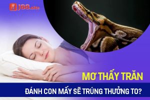 Mơ thấy trăn