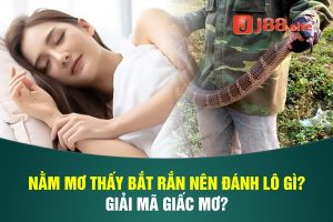 Năm mơ thấy bắt rắn nên đánh lô gì