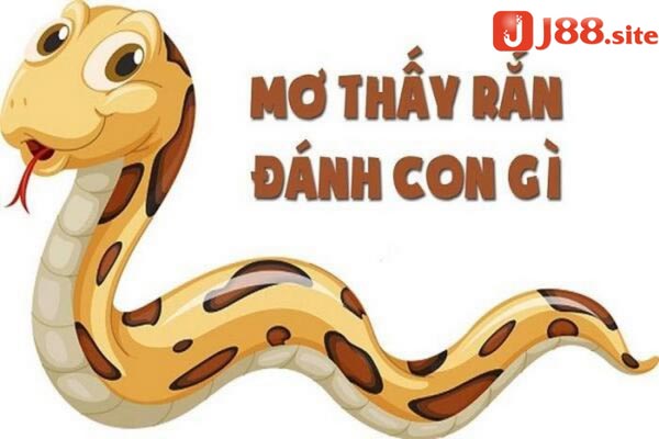 Nằm mơ thấy bắt rắn nên đánh lô gì trúng lớn? Nằm mơ thấy bắt rắn nên đánh lô gì trúng lớn?
