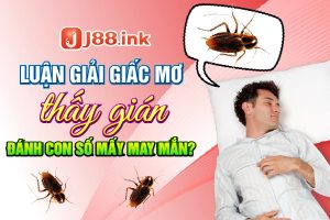 Giấc mơ thấy gián
